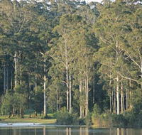 Big Brook Dam - Accommodation Mount Tamborine