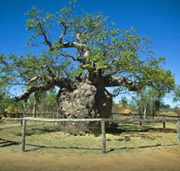 Pigeon Heritage Trail - Accommodation Mount Tamborine