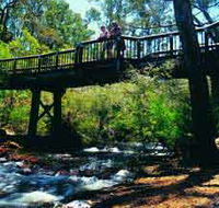 Barrabup Pool - Accommodation Mount Tamborine