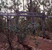 Marrinup Trail Dwellingup - Accommodation Mount Tamborine