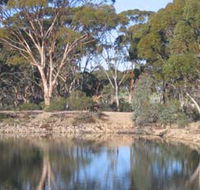 Merredin Railway Dam - Accommodation Mount Tamborine