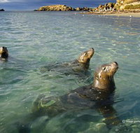 Shoalwater Islands Marine Park
