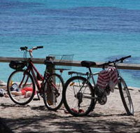 Parker Point Marine Snorkel Trail - Accommodation Mount Tamborine