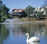 White Swans - Accommodation Mount Tamborine