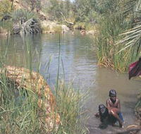 Palm Springs - Accommodation Mount Tamborine