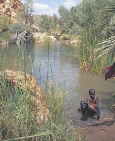 Palm Springs - Accommodation Mount Tamborine 0