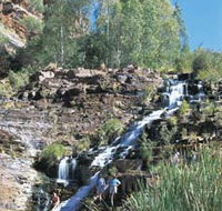 Fortescue Falls - Accommodation Mount Tamborine