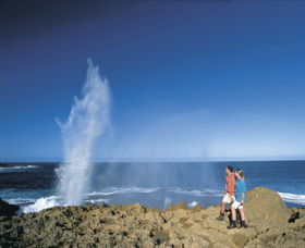The Blowholes Carnarvon - Accommodation Mount Tamborine 0