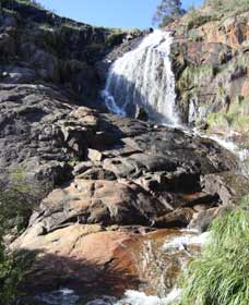 Lesmurdie WA Accommodation Mount Tamborine