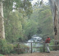 Cascades - Accommodation Mount Tamborine