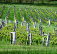 Sienna Estate Winery - Accommodation Mount Tamborine