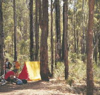 Lane Poole Reserve - Accommodation Mount Tamborine