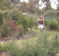 The Mythic Mazes - Accommodation Mount Tamborine