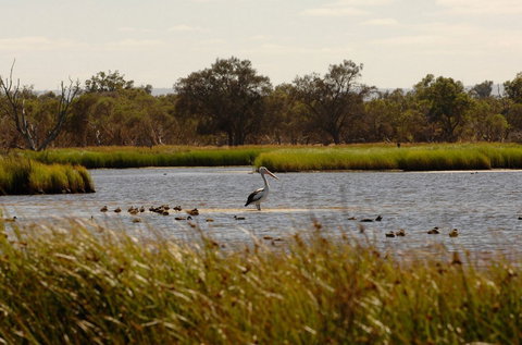Anytime Adventures In Mandurah & The Peel Region - Accommodation Mount Tamborine 0