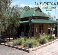 Rain Moth Gallery - Accommodation Mount Tamborine