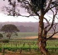 Yangarra Estate Vineyard - Accommodation Mount Tamborine