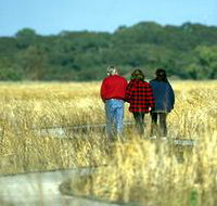 Onkaparinga River Recreation Park - Accommodation Mount Tamborine