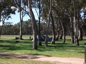 Naracoorte SA Accommodation Mount Tamborine