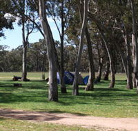 Black Cockatoo Bush Camp - Accommodation Mount Tamborine