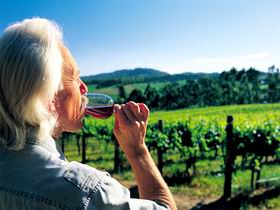 Ashton Hills Vineyard - Accommodation Mount Tamborine 0