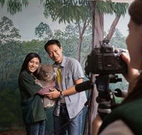 Cleland Wildlife Park - Accommodation Mount Tamborine