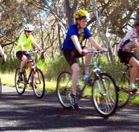Penola Cycling Trails - Accommodation Mount Tamborine
