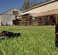Wilkadene Woolshed Brewery - Accommodation Mount Tamborine