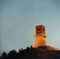 Centenary Tower - Accommodation Mount Tamborine 0