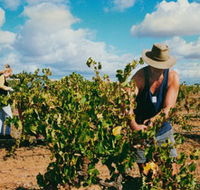 Torbreck Vintners - Accommodation Mount Tamborine