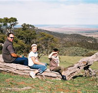 Bridle Track - Accommodation Mount Tamborine