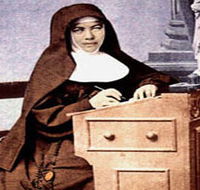 Mary MacKillop Penola Centre - Accommodation Mount Tamborine