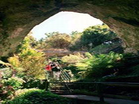 Engelbrecht Cave - Accommodation Mount Tamborine 0
