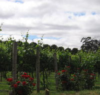 Manyara Vineyard - Accommodation Mount Tamborine