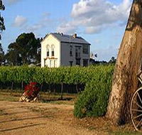 Highbank Vineyards - Accommodation Mount Tamborine