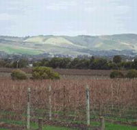 Mclaren Vale Premium Wines - Accommodation Mount Tamborine