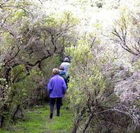 Jack And Hilda McArthur Walk - Accommodation Mount Tamborine