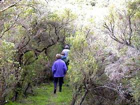Jack And Hilda McArthur Walk - Accommodation Mount Tamborine 0