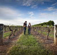 Coonawarra Wineries Walking Trail - Accommodation Mount Tamborine
