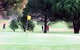 Meningie Lake Albert Golf Club - thumb 0