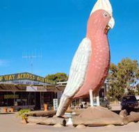 The Big Galah - Accommodation Mount Tamborine