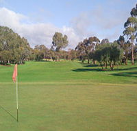 Regency Park Golf Course - Accommodation Mount Tamborine