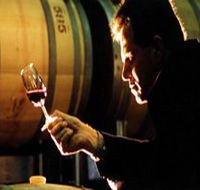Salena Estate Wines - Accommodation Mount Tamborine