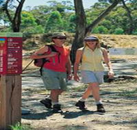 Riesling Trail - Accommodation Mount Tamborine