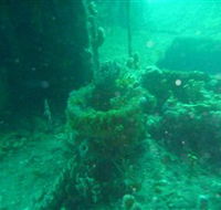 Wallaroo Scuba Club - Accommodation Mount Tamborine