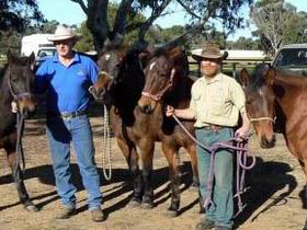 Coffin Bay SA Accommodation Mount Tamborine