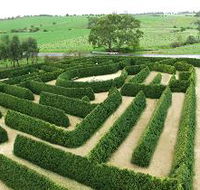 Mintaro Maze and Gift Shop - Accommodation Mount Tamborine