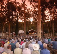 Bundaleer Forest Reserve - Accommodation Mount Tamborine