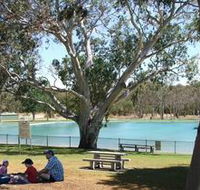 Naracoorte Nature Park and Swimming Lake - Accommodation Mount Tamborine