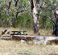Penola Conservation Park - Accommodation Mount Tamborine