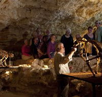 Naracoorte Caves National Park - Accommodation Mount Tamborine